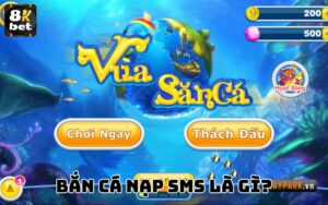 Bắn cá nạp sms là gì?