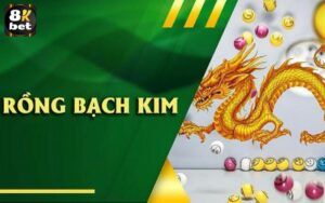 Soi cầu rồng bạch kim là gì?